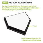 Pro Bury All Homeplate - WoodFill